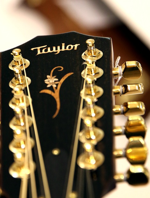テイラーギター